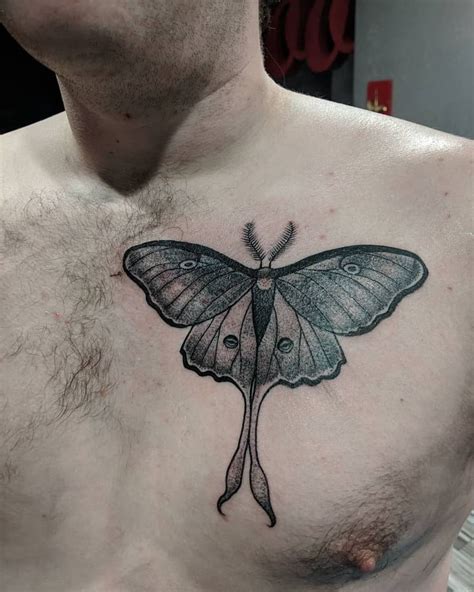 moth tattoo on chest|101 Best Moth Sternum Tattoo Ideas You Have To See To。